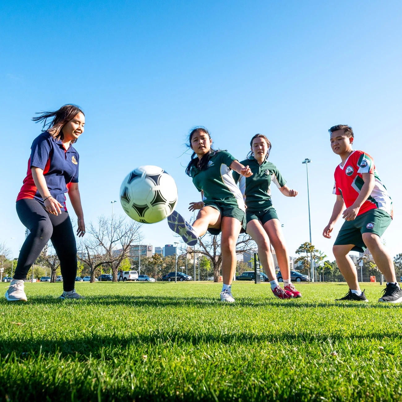 贡献了一个 贡献了一个